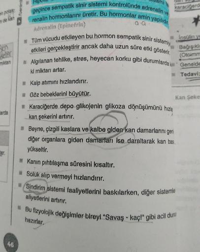 mia
geçince sempatik sinir sistemi kontrolünde adrenalin vs
renalin hormonlarını üretir. Bu hormonlar amin yapılıdır,
aa:
karaciğerd
on polas
7 de kan
Adrenalin (Epinefrin)
Tüm vücudu etkileyen bu hormon sempatik sinir sistemiy
insülin ys
etkileri gerçekle
