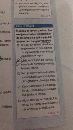 Karbonik asit (HCO3) deri-
şiminin artması bikarbonat
ve hidrojen iyonu oluşumu-
nu artrır.
Cevap A
nHg)
binin ok-
OSYM-2019 AYT
emoglo-
si, kanin
azaltır.
yalnız
insanda solunum gazları olan
oksijen ve karbon dioksitin kan-
da taşınmasıyla ilgili aşağıdaki
ifadelerden hangisi yanlıştır?
A) Akciğer alveollerinden kana
geçen oksijenin büyük bir kis-
mi, alyuvarlarda oksihemog-
lobin hâlinde taşınır.
B) Karbon dioksitin bir kısmı al-
yuvarlarda hemoglobine bağ-
lanarak taşınır.
C) Kan pH seviyesinin düşmesi
sonucu hemoglobinin oksije-
ni bağlamaya olan ilgisi artar.
ni rahat-
D) Karbon dioksitin büyük bir kis-
mi plazmada bikarbonat iyon-
lanı şeklinde taşınır.
E) Alyuvarlarda karbon dioksi-
tin su ile birleşmesine karbo-
nik anhidraz aracılık eder.
Cevap
Zatürre