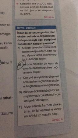 Karbonik asit (HCO3) deri-
şiminin artması bikarbonat
ve hidrojen iyonu oluşumu-
nu artrır.
Cevap A
nHg)
binin ok-
OSYM-2019 AYT
emoglo-
si, kanin
azaltır.
yalnız
insanda solunum gazları olan
oksijen ve karbon dioksitin kan-
da taşınmasıyla ilgili aşağıdaki
ifadelerden hangisi yanlıştır?
A) Akciğer alveollerinden kana
geçen oksijenin büyük bir kis-
mi, alyuvarlarda oksihemog-
lobin hâlinde taşınır.
B) Karbon dioksitin bir kısmı al-
yuvarlarda hemoglobine bağ-
lanarak taşınır.
C) Kan pH seviyesinin düşmesi
sonucu hemoglobinin oksije-
ni bağlamaya olan ilgisi artar.
ni rahat-
D) Karbon dioksitin büyük bir kis-
mi plazmada bikarbonat iyon-
lanı şeklinde taşınır.
E) Alyuvarlarda karbon dioksi-
tin su ile birleşmesine karbo-
nik anhidraz aracılık eder.
Cevap
Zatürre
