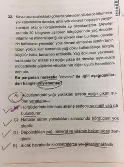 ICEBER
32. Kavurucu sıcaklıktaki çöllerde yılmadan yüzlerce kilometre
yol katedebilen develer, artık yok olmaya başlayan yaygın
inanışın aksine hörgüçlerinde su depolamazlar. Develer
aslında 30 kilogramı aşabilen hörgüçlerinde yağ depolar.
Vitamin ve mineral içeriği de yüksek olan bu depo, devele-
rin haftalarca yemeden yola devam etmesine imkân tanır.
Uzun yolculuklar sırasında yağ doku kullanıldıkça hörgüç
küçülür hatta tamamen eritilebilir. Yağ dokunun yakılması
sırasında bir miktar su açığa çıksa da develer susuzlukla
mücadelede güçlerini vücutlarının diğer uyum becerilerin-
den alır.
Bu parçadan hareketle "develer" ile ilgili aşağıdakiler-
den hangisi soylenemez?
A) Yücutlarındaki yağı yaktıkları sırada açığa çıkan su-
dan yararlanır.
B) Hörgüçlerinde bilinenin aksine sadece su değil yağ da
bulundurur.
C) Haftalar süren yolculukları sonucunda hörgüçleri yok
olabilir.
D) Depoladıkları yağ, mineral ve vitamin bakımından zen-
gindir.
E) Sıcak havalarda kilometrelerce yet gidebilmektedir.
