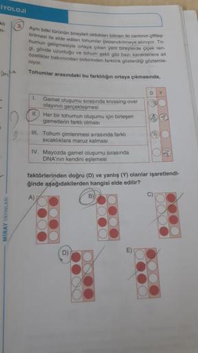 İYOLOJİ
kli
3.
m-
Aynı bitki türünün bireyleri oldukları bilinen iki canlının çiftleş-
tirilmesi ile elde edilen tohumlar çimlendirilmeye alınıyor. To-
humun gelişmesiyle ortaya çıkan yeni bireylerde çiçek ren-
gi, gövde uzunluğu ve tohum şekli gibi bazı k