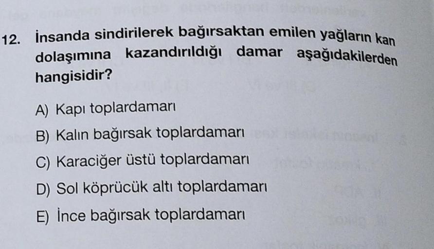 12. İnsanda sindirilerek bağırsaktan emilen yağların kan
dolaşımına kazandırıldığı damar aşağıdakilerden
hangisidir?
A) Kapı toplardamarı
B) Kalın bağırsak toplardamarı
C) Karaciğer üstü toplardamarı
D) Sol köprücük altı toplardamarı
E) İnce bağırsak topla