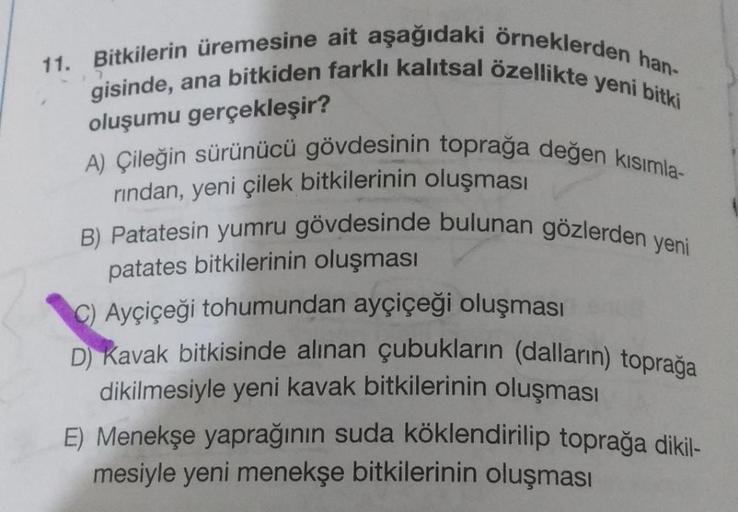 11. Bitkilerin üremesine ait aşağıdaki örneklerden han-
gisinde, ana bitkiden farklı kalıtsal özellikte yeni bitki
oluşumu gerçekleşir?
A) Çileğin sürünücü gövdesinin toprağa değen kısımla-
rından, yeni çilek bitkilerinin oluşması
B) Patatesin yumru gövdes