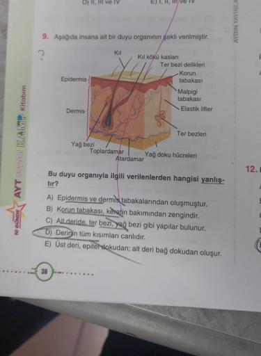 AYT Sayısal KAMP Kitabım
10 GÜNDE
D) II,
ve
9. Aşağıda insana ait bir duyu organının şekli verilmiştir.
Kil
?
Kıl kökü kasları
Ter bezi delikleri
Korun
Epidermis
tabakası
Malpigi
tabakası
Dermis
Elastik lifler
Ter bezleri
Yağ bezi
Toplardamar
Yağ doku hücr