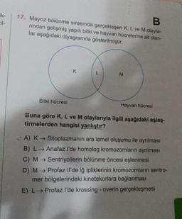 ik-
-il-
17. Mayoz bölünme sırasında gerçekleşen K, L ve M olayla-
B
rından gelişmiş yapılı bitki ve hayvan hücrelerine ait olan-
lar aşağıdaki diyagramda gösterilmiştir.
K
L
M
Bitki hücresi
Hayvan hücresi
Buna göre K, L ve M olaylarıyla ilgili aşağıdaki eşleş-
tirmelerden hangisi yanlıştır?
A) K→ Sitoplazmanın ara lamel oluşumu ile ayrılması
B) L→ Anafaz l'de homolog kromozomların ayrılması
C) M→ Sentriyollerin bölünme öncesi eşlenmesi
D) M→ Profaz Il'de iğ ipliklerinin kromozomların sentro-
mer bölgelerindeki kinetekorlara bağlanması
E) L→ Profaz l'de krossing - overin gerçekleşmesi