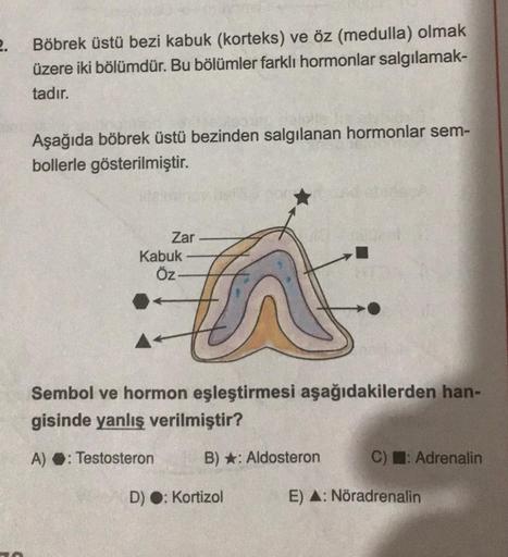2.
Böbrek üstü bezi kabuk (korteks) ve öz (medulla) olmak
üzere iki bölümdür. Bu bölümler farklı hormonlar salgılamak-
tadır.
Aşağıda böbrek üstü bezinden salgılanan hormonlar sem-
bollerle gösterilmiştir.
Zar
Kabuk-
Öz-
Sembol ve hormon eşleştirmesi aşağı