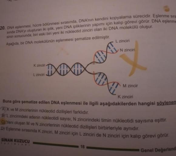 20. DNA eşlenmesi, hücre bölünmesi sıra… Ortaokul Fen Bilgisi 20. DNA eşlenmesi, hücre bölünmesi sıra… Ortaokul Fen Bilgisi