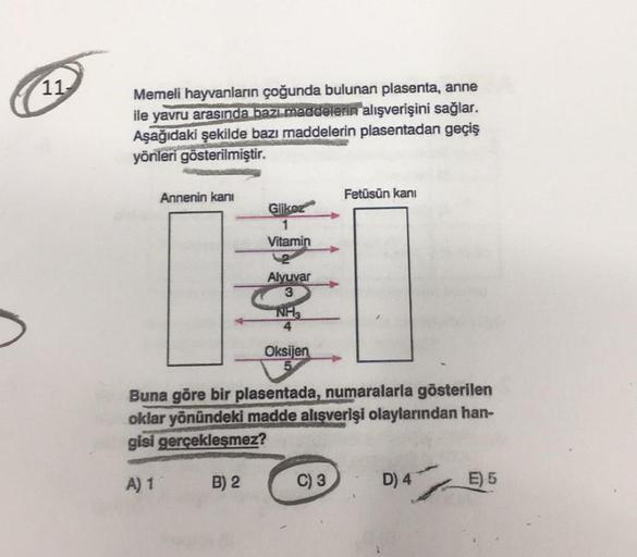 11-
Memeli hayvanların çoğunda bulunan plasenta, anne
ile yavru arasında bazı maddelerin alışverişini sağlar.
Aşağıdaki şekilde bazı maddelerin plasentadan geçiş
yönleri gösterilmiştir.
Annenin kanı
Fetüsün kanı
Glikoz
1
Vitamin
Alyuvar
3
NH3
4
Oksijen
Bun