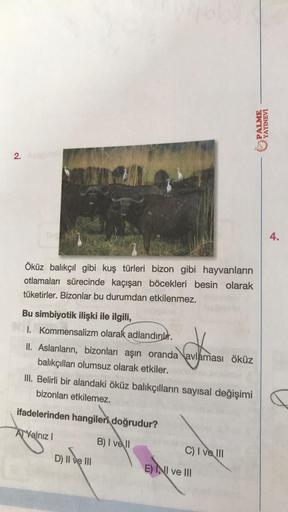 PALME
YAYINEVİ
2.
Öküz balıkçıl gibi kuş türleri bizon gibi hayvanların
otlamaları sürecinde kaçışan böcekleri besin olarak
tüketirler. Bizonlar bu durumdan etkilenmez.
Bu simbiyotik ilişki ile ilgili,
I. Kommensalizm olarak adlandırır.
II. Aslanların, biz