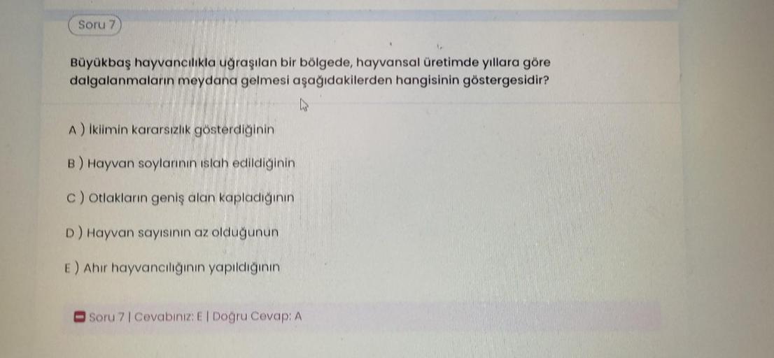 Soru 7
Büyükbaş hayvancılıkla uğraşılan bir bölgede, hayvansal üretimde yıllara göre
dalgalanmaların meydana gelmesi aşağıdakilerden hangisinin göstergesidir?
A) İkiimin kararsızlık gösterdiğinin
B) Hayvan soylarının islah edildiğinin
c) Otlakların geniş alan kapladığının
D) Hayvan sayısının az olduğunun
E) Ahir hayvancılığının yapıldığının
Soru 7 | Cevabınız: E | Doğru Cevap: A