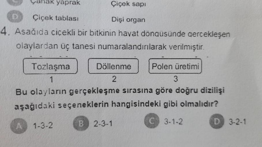 Cahak yaprak
Çiçek sapi
Çiçek tablası
Dişi organ
4. Asağıda cicekli bir bitkinin hayat döngüsünde gerçekleşen
olaylardan üç tanesi numaralandırılarak verilmiştir.
Tozlaşma
Döllenme
Polen üretimi
1
2
3
Bu olayların gerçekleşme sırasına göre doğru dizilişi
a
