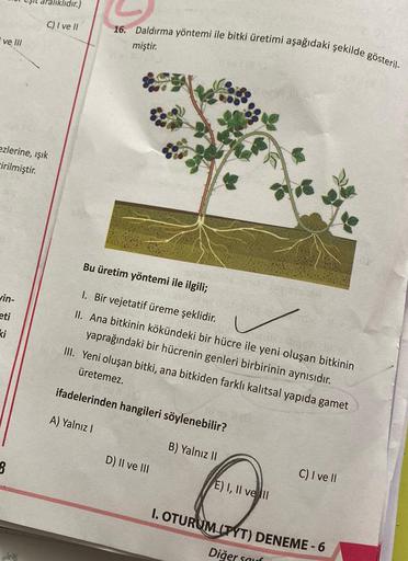 ve Ill
lidir.)
C) I ve II
ezlerine, ışık
tirilmiştir.
vin-
eti
ki
8
16. Daldırma yöntemi ile bitki üretimi aşağıdaki şekilde gösteril-
miştir.
Bu üretim yöntemi ile ilgili;
✓
1. Bir vejetatif üreme şeklidir.
II. Ana bitkinin kökündeki bir hücre ile yeni ol