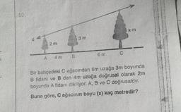 10.
2m
3 m
x m
6 m
C
A
B
4 m
Bir bahçedeki C ağacından 6m uzağa 3m boyunda
B fidanı ve B den 4m uzağa doğrusal olarak 2m
boyunda A fidanı dikiliyor. A, B ve C doğrusaldır.
Buna göre, C ağacının boyu (x) kaç metredir?