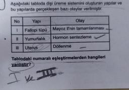 Aşağıdaki tabloda dişi üreme sistemini oluşturan yapılar ve
bu yapılarda gerçekleşen bazı olaylar verilmiştir.
No
Yapı
Olay
1 Fallopi tüpü
Mayoz Il'nin tamamlanması
11
Yumurtalık
Hormon sentezleme
III Uterus
Döllenme
Tablodaki numaralı eşleştirmelerden hangileri
yanlıştır?
ve I!!