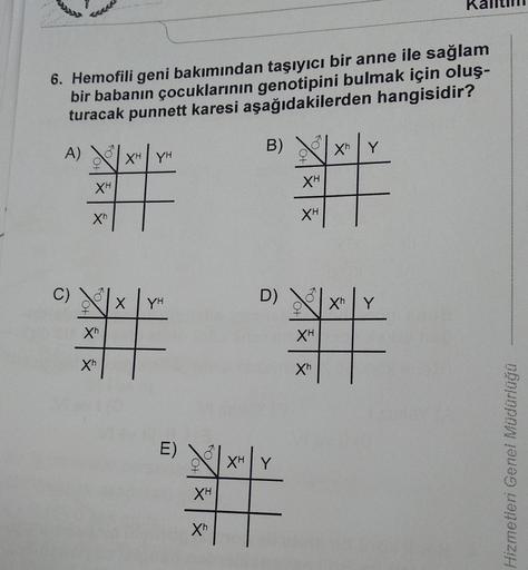 6. Hemofili geni bakımından taşıyıcı bir anne ile sağlam
bir babanın çocuklarının genotipini bulmak için oluş-
turacak punnett karesi aşağıdakilerden hangisidir?
A) XH YH
B)
Xh
Y
XH
C)
Xh
Xh
Xh
X YH
E)
XH
Xh
D)
XH
XH Y
XH
XH
XH
Xh
Xh
Y
ww
www
Copil
www
2
N