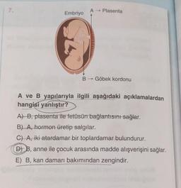 7.
A → Plasenta
B Göbek kordonu
A ve B yapılarıyla ilgili aşağıdaki açıklamalardan
hangisi yanlıştır?
A) B, plasenta ile fetüsün bağlantısını sağlar.
B) A, hormon üretip salgılar.
C) A, iki atardamar bir toplardamar bulundurur.
DB, anne ile çocuk arasında madde alışverişini sağlar.
E) B, kan damarı bakımından zengindir.
Embriyo