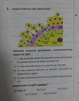 2. Aşağıda döllenme olayı gösterilmiştir.
VI
IV
Sperm
çekirdeği
Yumurta
hücre zarı
Enzim taşıyan
Yumurta
kesecik
çekirdeği
Akrozom
Döllenme sırasında gerçekleşen numaralandırılmış
olaylar ile ilgili;
I. I. olay sırasında sperm hücresinde bulunan akrozomda-
ki enzimler yardımı ile folikül hücreleri erir.
II. II. olay sırasında sperm ve yumurta zarı kaynaşır.
III. IV. olay sırasında akrozom ve çekirdek yumurtanın si-
toplazmasına geçer.
IV. III. olay sırasında akrozom zona pellusida yapısını sindi-
rir.
yargılarından hangileri yanlıştır?
C) III ve IV
B) I ve II
A) Yalnız III
D) I, II ve III
Zona pellusida
E) II, III ve IV
4.