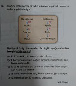 4. Aşağıda dişi ve erkek bireylerde üremede görevli hormonlar
harflerle gösterilmiştir.
Jogl
Hipotalamus
Hipotalamus
RF
RF
Hipofiz
Hipofiz
↓K
M
Testis
Ovaryum
↓L
N
Uterus
Seminifer tüpçük
om
Harflendirilmiş hormonlar ile ilgili aşağıdakilerden
hangisi söylenemez?
mor
A) K, L, M ve N hormonları kanda bulunur.
B) L hormonu uterusun doğum sırasında kasılmasını sağ-
layan oksitosindir.
C) K ve M hormonu dişi ve erkek bireylerde ortak salgıla-
nan hormonlar olabilir.
D) N hormonu seminifer tüpçüklerde spermatogenezi sağlar.
E) K hormonu FSH, M hormonu LH olabilir.
AYT Biyoloji