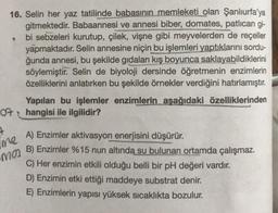 O
•
16. Selin her yaz tatilinde babasının memleketi olan Şanlıurfa'ya
gitmektedir. Babaannesi ve annesi biber, domates, patlıcan gi-
bi sebzeleri kurutup, çilek, vişne gibi meyvelerden de reçeller
yapmaktadır. Selin annesine niçin bu işlemleri yaptıklarını sordu-
ğunda annesi, bu şekilde gıdaları kış boyunca saklayabildiklerini
söylemiştir. Selin de biyoloji dersinde öğretmenin enzimlerin
özelliklerini anlatırken bu şekilde örnekler verdiğini hatırlamıştır.
Yapılan bu işlemler enzimlerin aşağıdaki özelliklerinden
hangisi ile ilgilidir?
A) Enzimler aktivasyon enerjisini düşürür.
B) Enzimler %15 nun altında su bulunan ortamda çalışmaz.
C) Her enzimin etkili olduğu belli bir pH değeri vardır.
D) Enzimin etki ettiği maddeye substrat denir.
E) Enzimlerin yapısı yüksek sıcaklıkta bozulur.
4
me
ma