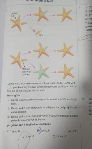 ilik Testi
**
Ölür
*-*
Merkezi
disk
*-
X₁
Merkezi
diskin bir
parçası
Deniz yıldızında rejenerasyon yüksek düzeydedir. Deniz yıldı-
zi, kopan kolunu yenileyip tamamlayabileceği gibi kopan kol da
tam bir deniz yıldızını oluşturabilir.
Buna göre,
1. Deniz yıl