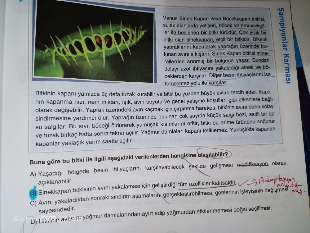 Şampiyonlar Karması
Venüs Sinek Kapan veya Böcekkapan bitkisi,
sulak alanlarda yetişen, böcek ve örümcekgil-
ler ile beslenen bir bitki türüdür. Çok yıllık bir
bitki olan sinekkapan, etçil bir bitkidir. Dikenli
yapraklarını kapatarak yaprağın üzerinde bu-