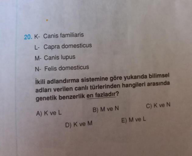 20. K- Canis familiaris
L-Capra domesticus
M- Canis lupus
N- Felis domesticus
İkili adlandırma sistemine göre yukarıda bilimsel
adları verilen canlı türlerinden hangileri arasında
genetik benzerlik en fazladır?
A) K ve L
B) M ve N
C) K ve N
D) K ve M
E) M