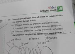 töder
3B
DENEME SINAVI
20. İnsanda gerçekleşen normal mitoz ve mayoz bölün-
me olaylan ile ilgili olarak,
mitozun metafaz ve anafaz evresinin sonundaki,
II. mayozun anafaz I ve anafaz II evresinin sonundaki,
IK. mayozun anafaz I ve metafaz Il evresinin sonundaki
durumlarının hangilerinde kromozom sayısı aynıdır?
A Yalnız I
B) Yalnız II
C Yalnız III
D) I vet
E) II ve III