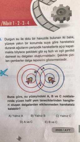 /Hibrit 1-2-3-4
3. Durgun su ile dolu bir havuzda bulunan iki balık,
yüzeye yakın bir konumda suya göre hareketsiz
durarak ağızlarını periyodik hareketlerle açıp kapat-
makta böylece şekildeki gibi eş fazlı ve eşit genlikli
dairesel su dalgaları oluşturmaktadır. Şekilde çizi-
len çemberler dalga tepelerini göstermektedir.
B
K
A
Buna göre, su yüzeyindeki A, B ve C noktala-
rında yüzen hafif yem taneciklerinden hangile-
ri oluşan dalgalardan etkilenmeden hareketsiz
kalabilir?
A) Yalnız A
B) Yalnız B
C) Yalnız C
2020/ AYT
D) A ve C
###
J.
E) B ve C