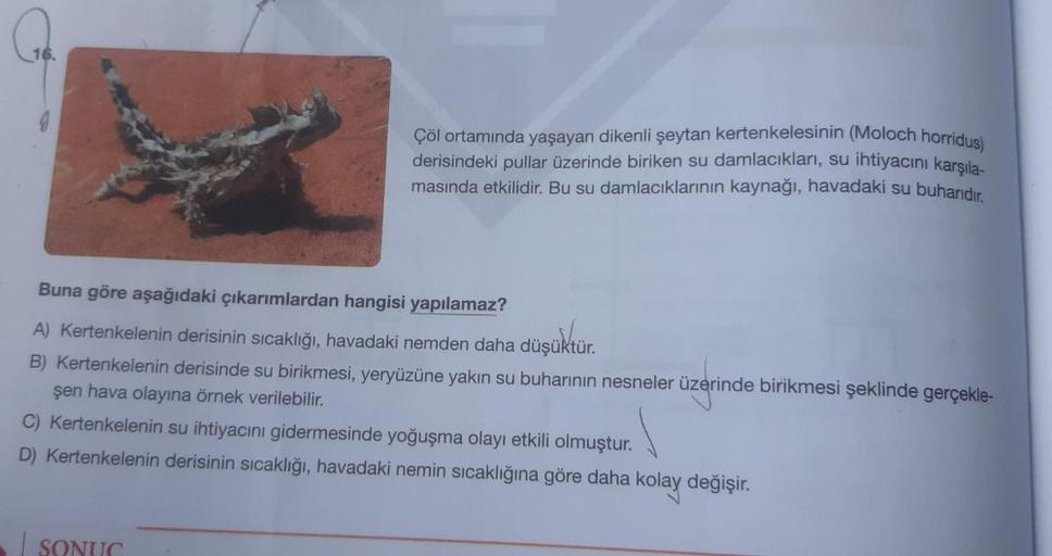 16.
Çöl ortamında yaşayan dikenli şeytan kertenkelesinin (Moloch horridus)
derisindeki pullar üzerinde biriken su damlacıkları, su ihtiyacını karşıla-
masında etkilidir. Bu su damlacıklarının kaynağı, havadaki su buharıdır.
Buna göre aşağıdaki çıkarımlarda