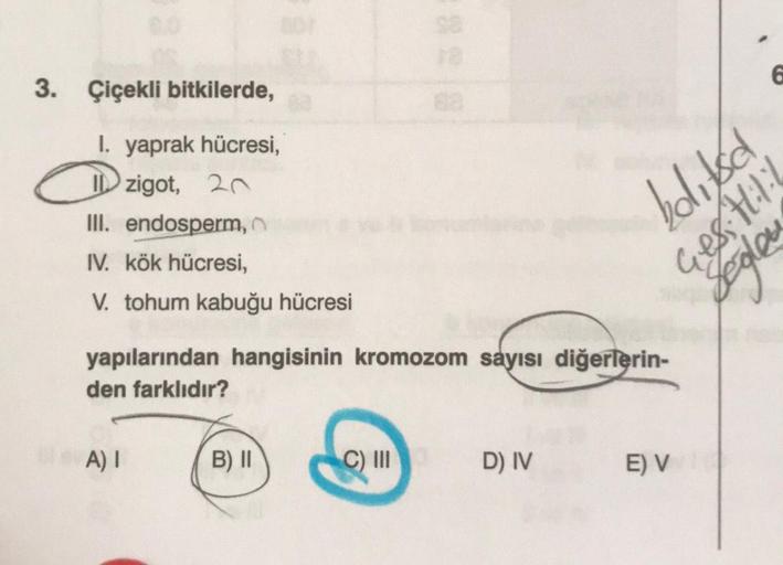 3. Çiçekli bitkilerde,
I. yaprak hücresi,
zigot, 20
III. endosperm,
IV. kök hücresi,
V. tohum kabuğu hücresi
yapılarından hangisinin kromozom sayısı diğerlerin-
den farklıdır?
A) I
C) III
D) IV
E) V
B) II
bolitse
6
Ges: Hil·l
Seglen