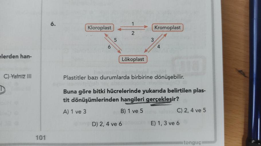 elerden han-
C) Yalnız III
D
101
6.
1
Kloroplast
2
3
15
4
Lökoplast
Plastitler bazı durumlarda birbirine dönüşebilir.
Buna göre bitki hücrelerinde yukarıda belirtilen plas-
tit dönüşümlerinden hangileri gerçekleşir?
A) 1 ve 3
B) 1 ve 5
C) 2, 4 ve 5
ove D) 