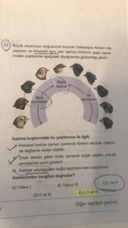 3.) Büyük
33.) Büyük okyanusun doğusunda bulunan Galapagos Adaları'nda
yaşayan ve kökenleri aynı olan ispinoz türlerinin gaga yapıla-
rındaki çeşitlenme aşağıdaki diyagramda gösterildiği gibidir.
Ötücü
ispinoz
Ağaç
ispinozları
Yer
ispinozları
Ispinoz kuşlarındaki bu çeşitlenme ile ilgili,
Rekabet baskısı zaman içerisinde türlerin ekolojik nişlerin-
de değişime neden olabilir.
V.
Ortak atadan gelen türler zamanla doğal seçilim yoluyla
çevrelerine uyum gösterir.
Ilk Kalıtsal varyasyonlar doğal seçilimin ham maddesidir.
ifadelerinden hangileri doğrudur?
A) Yalnız I
B) Yalnız III
C) I ve II
D) II ve III
E) I, II ve III
Diğer sayfaya geçiniz.