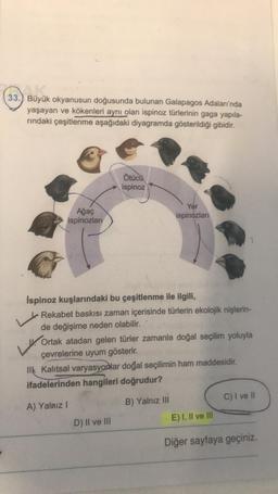 3.) Büyük
33.) Büyük okyanusun doğusunda bulunan Galapagos Adaları'nda
yaşayan ve kökenleri aynı olan ispinoz türlerinin gaga yapıla-
rındaki çeşitlenme aşağıdaki diyagramda gösterildiği gibidir.
Ötücü
ispinoz
Ağaç
ispinozları
Yer
ispinozları
Ispinoz kuşlarındaki bu çeşitlenme ile ilgili,
Rekabet baskısı zaman içerisinde türlerin ekolojik nişlerin-
de değişime neden olabilir.
V.
Ortak atadan gelen türler zamanla doğal seçilim yoluyla
çevrelerine uyum gösterir.
Ilk Kalıtsal varyasyonlar doğal seçilimin ham maddesidir.
ifadelerinden hangileri doğrudur?
A) Yalnız I
B) Yalnız III
C) I ve II
D) II ve III
E) I, II ve III
Diğer sayfaya geçiniz.