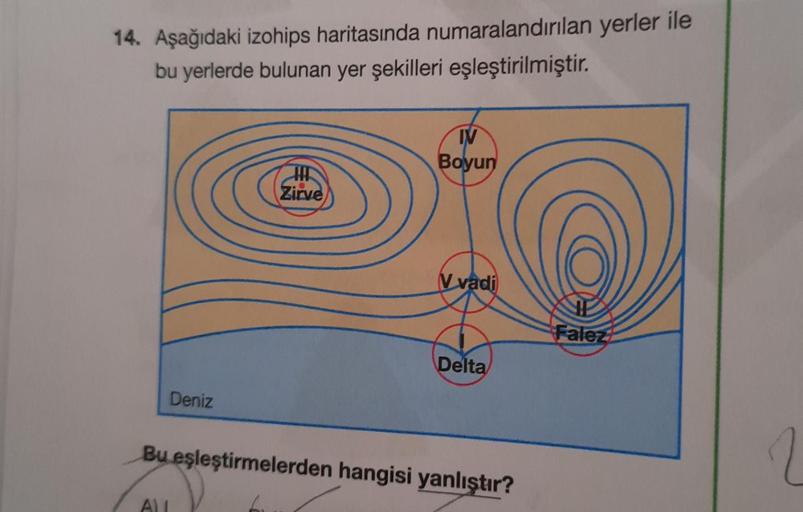 14. Aşağıdaki izohips haritasında numaralandırılan yerler ile
bu yerlerde bulunan yer şekilleri eşleştirilmiştir.
IV
Boyun
H
Zirve
V vadi
Delta
Deniz
Bu eşleştirmelerden hangisi yanlıştır?
ALL
Falez
2