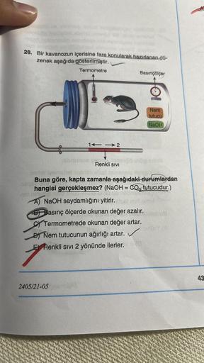 28. Bir kavanozun içerisine fare konularak hazırlanan dü-
zenek aşağıda gösterilmiştir.
Termometre
Basınçölçer
OI
Nem
tutucu
NaOH
11-2
Renkli Sivi
Buna göre, kapta zamanla aşağıdaki durumlardan
hangisi gerçekleşmez? (NaOH = CO, tutucudur.)
Carth5107
A) NaO