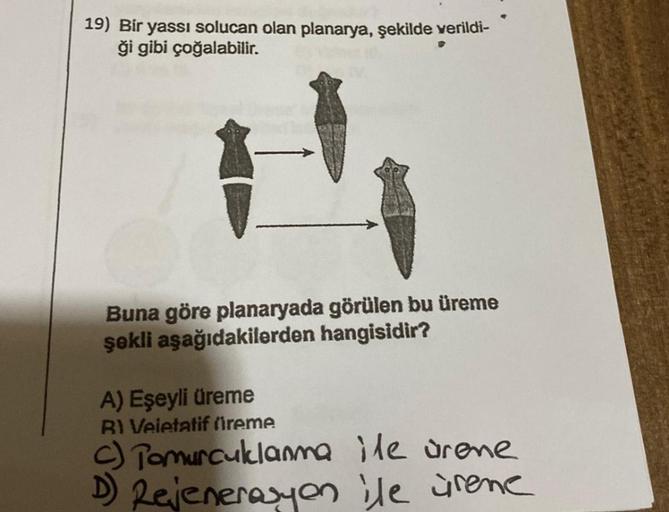 19) Bir yassı solucan olan planarya, şekilde verildi-
ği gibi çoğalabilir.
H
Buna göre planaryada görülen bu üreme
şəkli aşağıdakilerden hangisidir?
A) Eşeyli üreme
B) Veietatif fireme
c) Tomurcuklanma ile urene
D) Rejenerasyon ile üreme