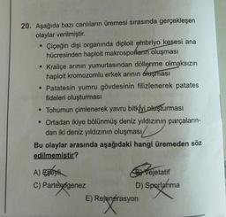 20. Aşağıda bazı canlıların üremesi sırasında gerçekleşen
olaylar verilmiştir.
Çiçeğin dişi organında diploit embriyo kesesi ana
hücresinden haploit makrosporların oluşması
●
Kraliçe arının yumurtasından döllenme olmaksızın
haploit kromozomlu erkek arının oluşması
• Patatesin yumru gövdesinin filizlenerek patates
fideleri oluşturması
• Tohumun çimlenerek yavru bitkiyi oluşturması
• Ortadan ikiye bölünmüş deniz yıldızının parçaların-
dan iki deniz yıldızının oluşması
Bu olaylar arasında aşağıdaki hangi üremeden söz
edilmemiştir?
A) Egeyli
Vejetatif
C) Partenogenez
D) Sporlanma
E) Rejenerasyon
ejener