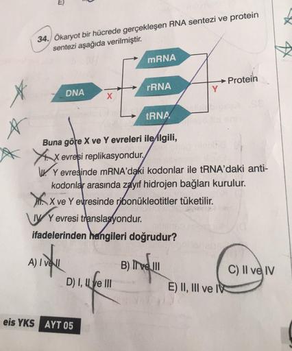 34. Ökaryot bir hücrede gerçekleşen RNA sentezi ve protein
sentezi aşağıda verilmiştir.
mRNA
→Protein
DNA
Y
X
tRNA
Buna göre X ve Y evreleri ile ilgili,
XX evresi replikasyondur.
Y evresinde mRNA'daki kodonlar ile tRNA'daki anti-
kodonlar arasında zayıf hi