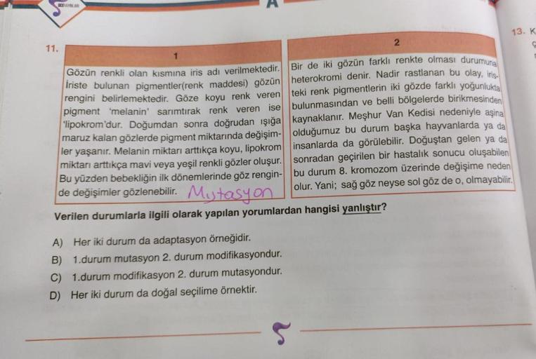 SESVAYNAR
2
Bir de iki gözün farklı renkte olması durumuna
heterokromi denir. Nadir rastlanan bu olay, iris
teki renk pigmentlerin iki gözde farklı yoğunlukta
bulunmasından ve belli bölgelerde birikmesinden
kaynaklanır. Meşhur Van Kedisi nedeniyle aşina
ol