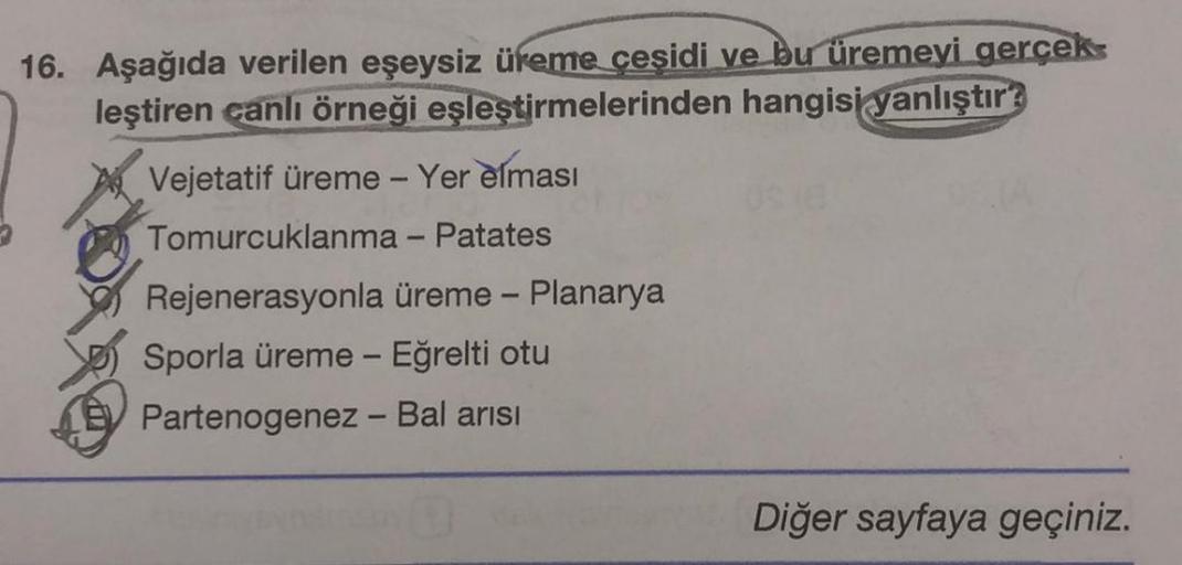 16. Aşağıda verilen eşeysiz üreme çeşidi ve bu üremeyi gerçek
leştiren canlı örneği eşleştirmelerinden
hangisi yanlıştır
Vejetatif üreme - Yer elması
Tomurcuklanma - Patates
Rejenerasyonla üreme - Planarya
Sporla üreme - Eğrelti otu
Partenogenez - Bal arıs