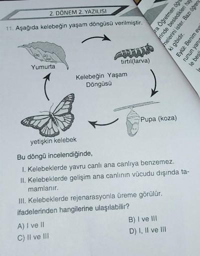 2. DÖNEM 2. YAZILISI
11. Aşağıda kelebeğin yaşam döngüsü verilmiştir.
30 00
Yumurta
tırtıl(larva)
Kelebeğin Yaşam
Döngüsü
Pupa (koza)
yetişkin kelebek
Bu döngü incelendiğinde,
1. Kelebeklerde yavru canlı ana canlıya benzemez.
II. Kelebeklerde gelişim ana c