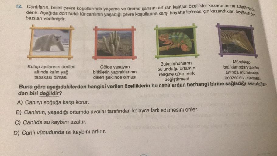 12. Canlıların, belirli çevre koşullarında yaşama ve üreme şansını artıran kalıtsal özellikler kazanmasına adaptasyon
denir. Aşağıda dört farklı tür canlının yaşadığı çevre koşullarına karşı hayatta kalmak için kazandıkları özelliklerden
bazıları verilmişt