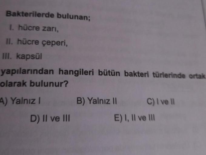 Bakterilerde bulunan; I. hücre zarı, II. hücre çepe… Biyoloji Bakterilerde bulunan; I. hücre zarı, II. hücre çepe… Biyoloji