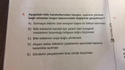 8. Aşağıdaki bitki hareketlerinden hangisi, uyarının yönüne
bağlı olmadan turgor basıncındaki değişimle gerçekleşir?
A) Sarmaşık bitkinin özel emeçleri başka bir bitkiye sarılması
B) Bitki köklerinin kendisi için yararlı olan inorganik
maddelerin bulunduğu bölgeye doğru büyümesi
C) Bitki köklerinin suya doğru yönelmesi
D) Akşam sefası bitkisinin çiçeklerinin aydınlıkta kapanıp
karanlıkta açılması
E) Gövdenin yerçekiminin tersi yönde büyümesi
11.
YAYINLARI
Y
y
r