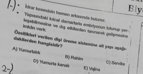 1-): Biy Idrar kesesinin hemen arkasında bulunur. Y... - Biyoloji