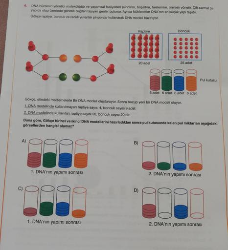 Ō
4.
DNA hücrenin yönetici molekülüdür ve yaşamsal faaliyetleri (sindirim, boşaltım, beslenme, üreme) yönetir. Çift sarmal bir
yapıda olup üzerinde genetik bilgileri taşıyan genler bulunur. Ayrıca Nükleotitler DNA'nın en küçük yapı taşıdır.
Gökçe raptiye, 