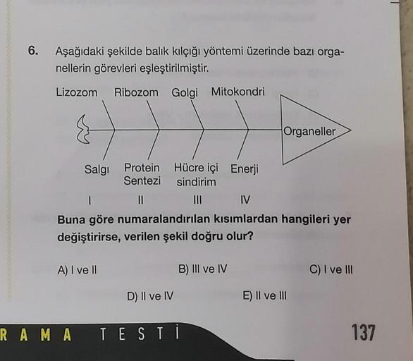 6.
Aşağıdaki şekilde balık kılçığı yöntemi üzerinde bazı orga-
nellerin görevleri eşleştirilmiştir.
Lizozom Ribozom Golgi Mitokondri
Organeller
Salgı Protein Hücre içi Enerji
Sentezi sindirim
I
||
III IV
Buna göre numaralandırılan kısımlardan hangileri yer