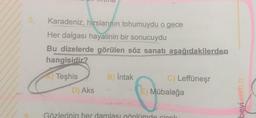 8.
Karadeniz, hırslarının tohumuydu o gece
Her dalgası hayalinin bir sonucuydu
Bu dizelerde görülen söz sanatı aşağıdakilerden
hangisidir?
Teşhis
B) Intak
C) Leffüneşr
D) Aks
E) Mübalağa
Gözlerinin her damlası gönlümde cicak
bevi.com.tr