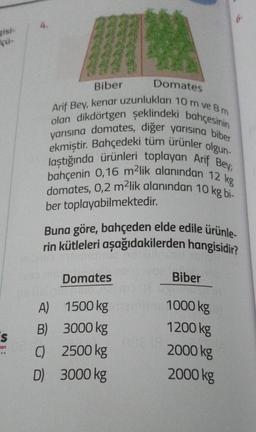 çü-
S
an
Domates
Biber
Arif Bey, kenar uzunlukları 10 m ve 8 m
olan dikdörtgen şeklindeki bahçesinin
yarısına domates, diğer yarısına biber
ekmiştir. Bahçedeki tüm ürünler olgun-
laştığında ürünleri toplayan Arif Bey;
bahçenin 0,16 m²lik alanından 12 kg
domates, 0,2 m²lik alanından 10 kg bi-
ber toplayabilmektedir.
Buna göre, bahçeden elde edile ürünle-
rin kütleleri aşağıdakilerden hangisidir?
Biber
Domates
1019
1500 kg
1000 kg
B)
3000 kg
1200 kg
C) 2500 kg
2000 kg
D)
3000 kg
2000 kg
A)