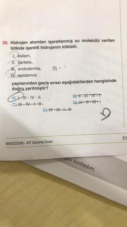 36. Hidrojen atomları işaretlenmiş su molekülü verilen
bitkide işaretli hidrojenin kökteki,
I. ksilem,
11. korteks,
endodermis,
111-1
IV. epidermis
yapılarından geçiş sırası aşağıdakilerden hangisinde
doğru verilmiştir?
AL II-IV-II
BI-II-IV-T
C) II-IV-+-+
EV
NKR21221306-AYT Deneme Sınavı
D) IV-||-|||I
gru kodladım.
9
31